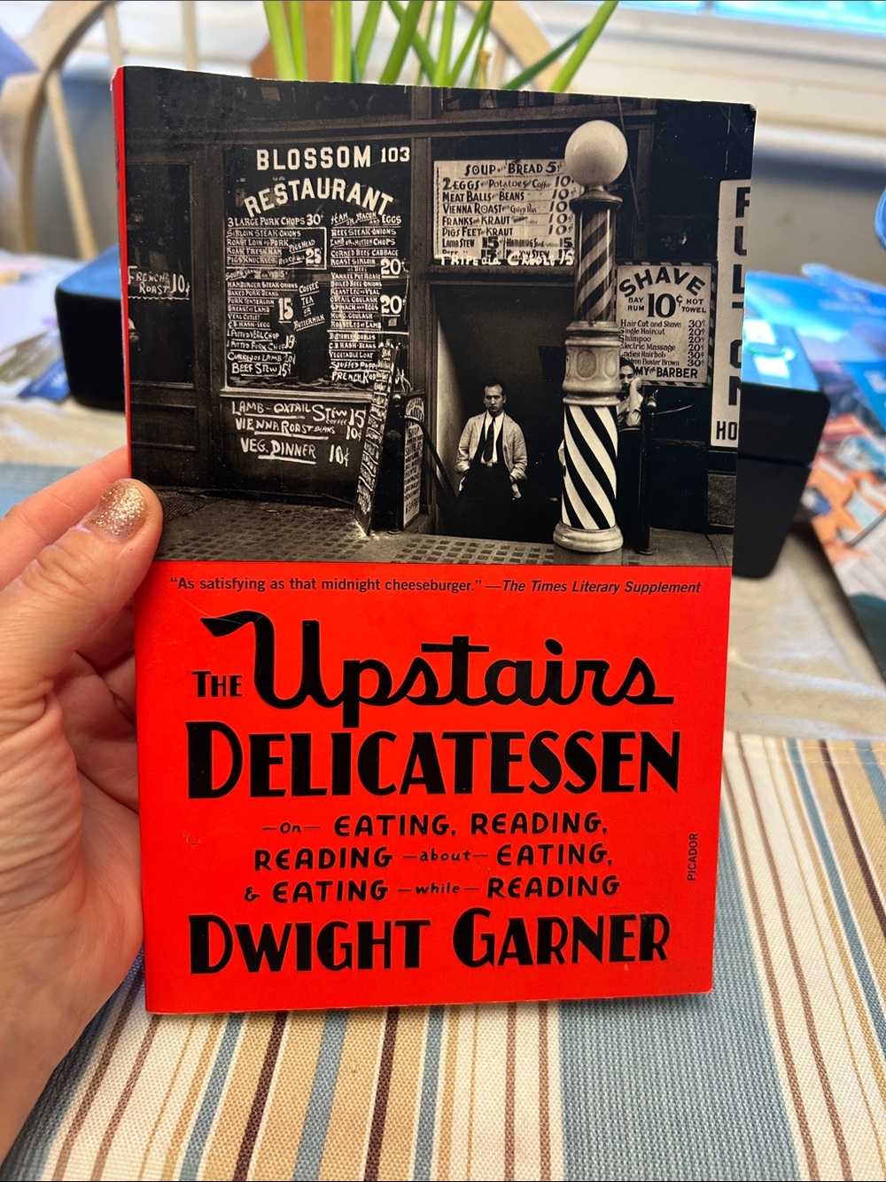 Dwight Garner The Upstairs Delicatessen - Red Paperback Book